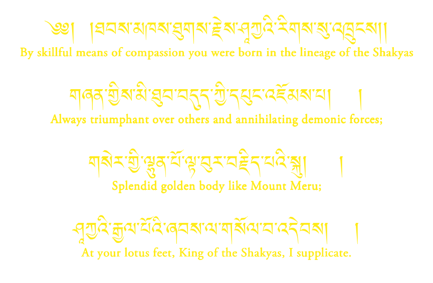 SHAKYAMUNI SOLDEB